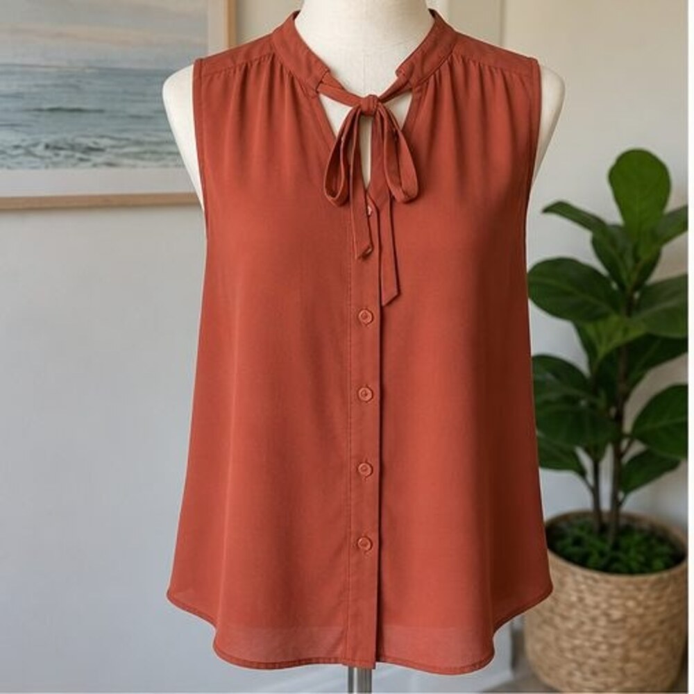 Rust Puff Sleeve Top